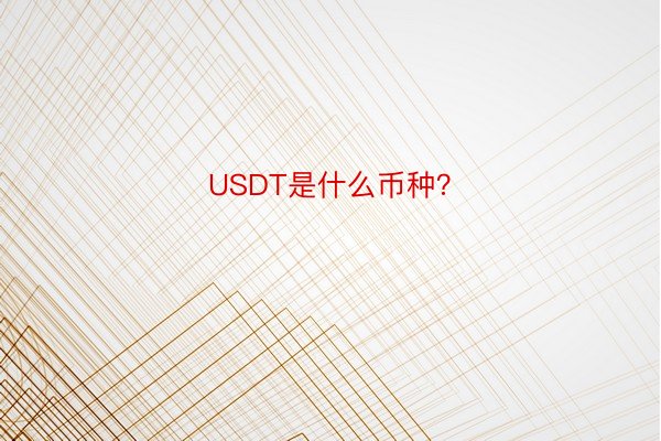 USDT是什么币种？